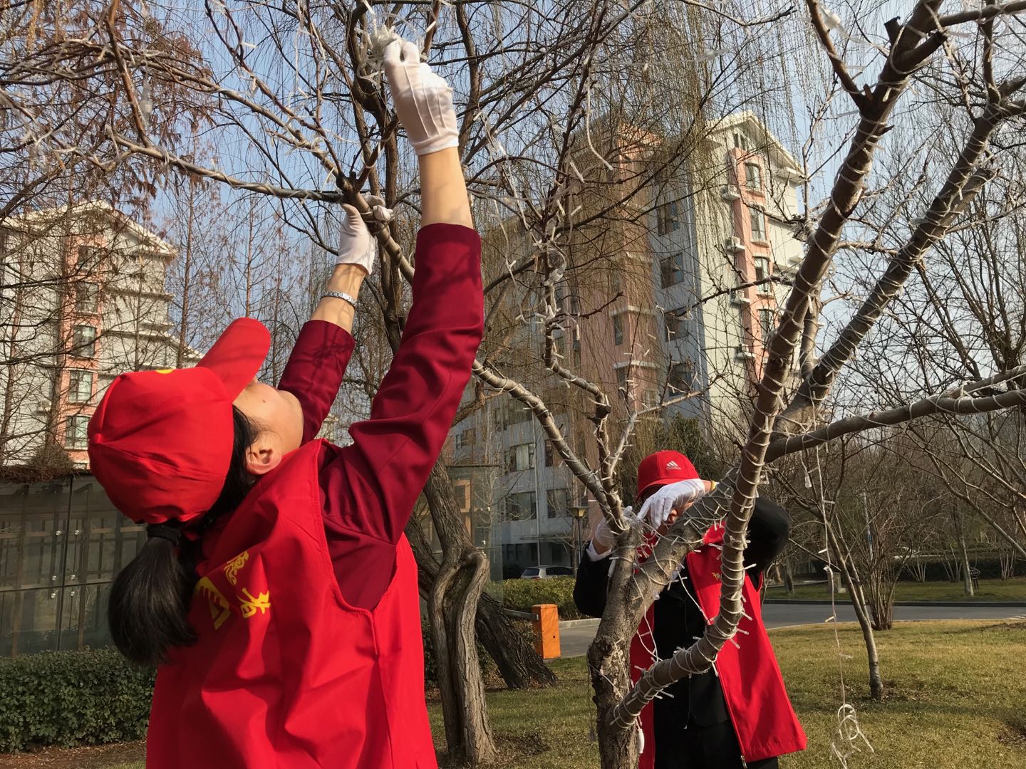三和实业党支部开展“学雷锋 讲奉献”志愿服务活动